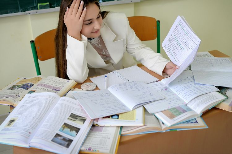 social studies thinker classroom