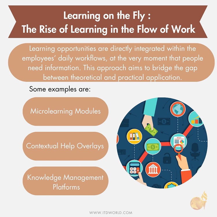 learning on the fly