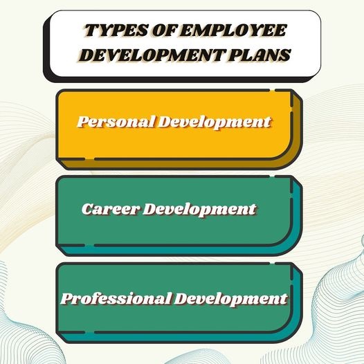 types of employee development plan