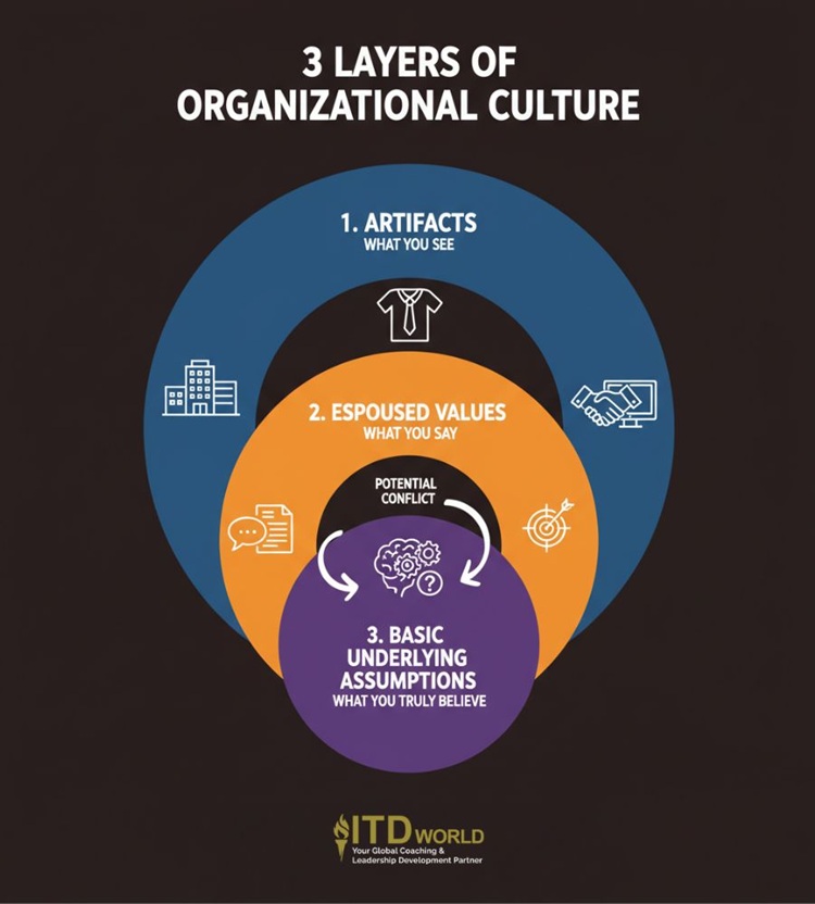 3 layers of organizational culture