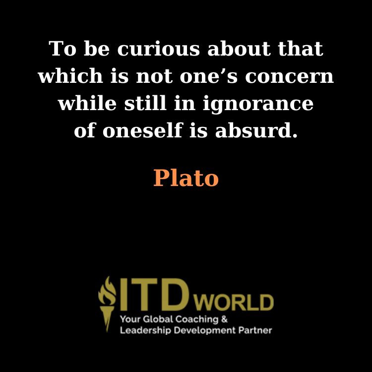 quotes about curious minds