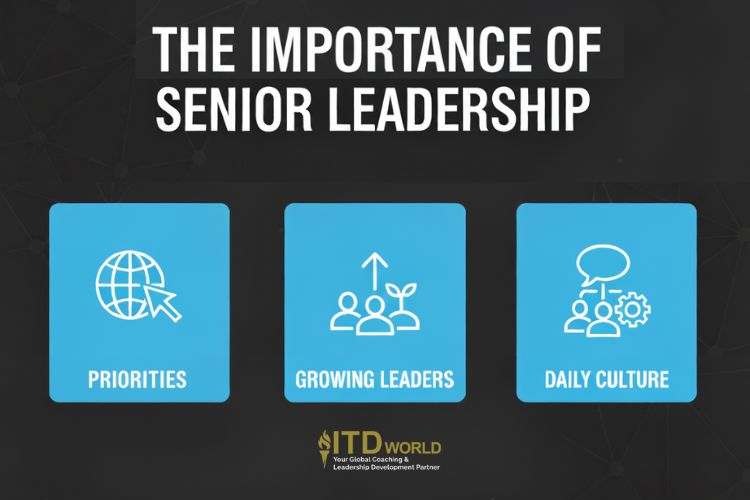 the importance of an effective senior leadership team