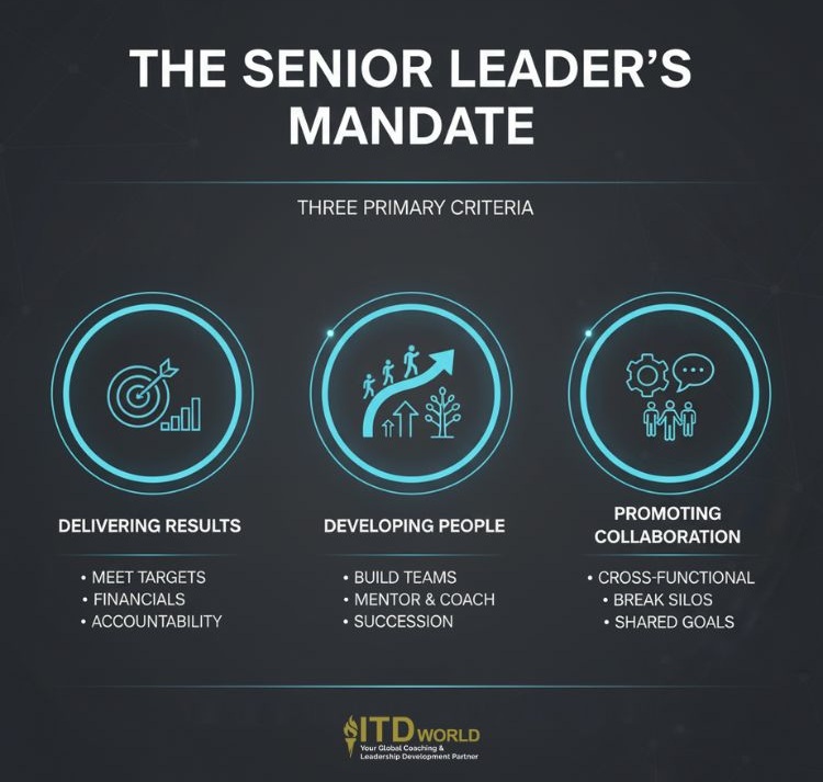 the senior leader's mandate