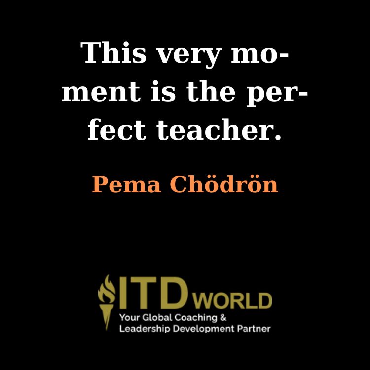 this very moment is the perfect teacher
