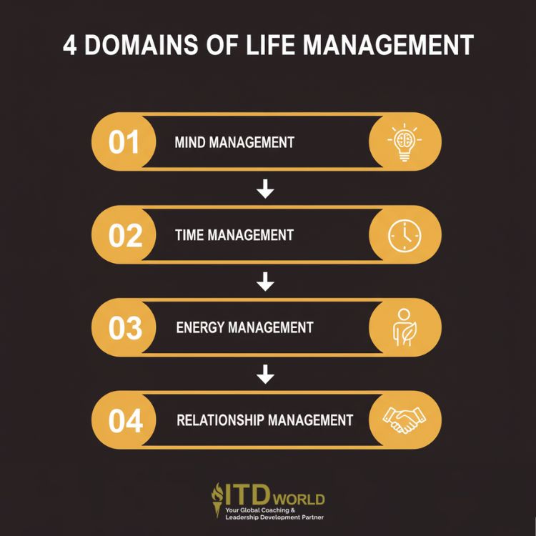 4 domains of life management
