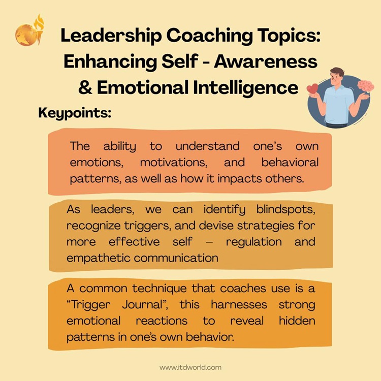 coaching self-awareness eq
