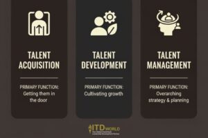 Talent Development Playbook: Building Your Future Workforce | ITD World