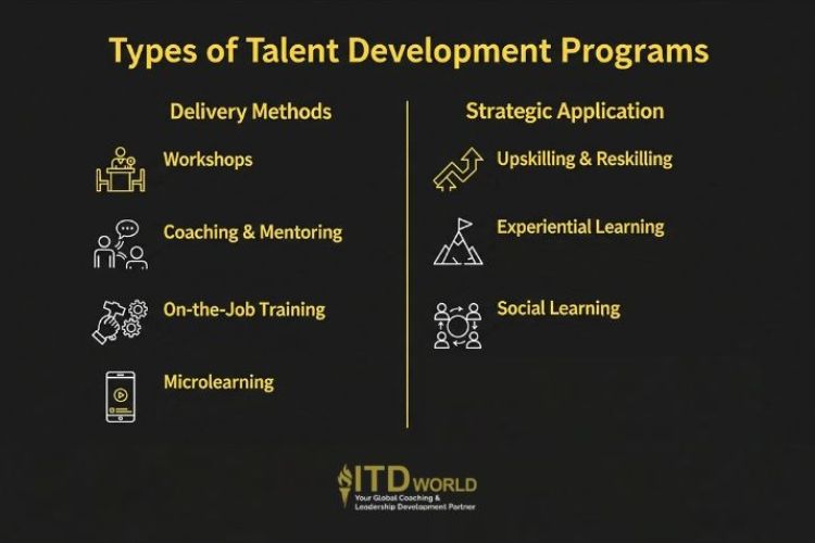 types of talent development programs