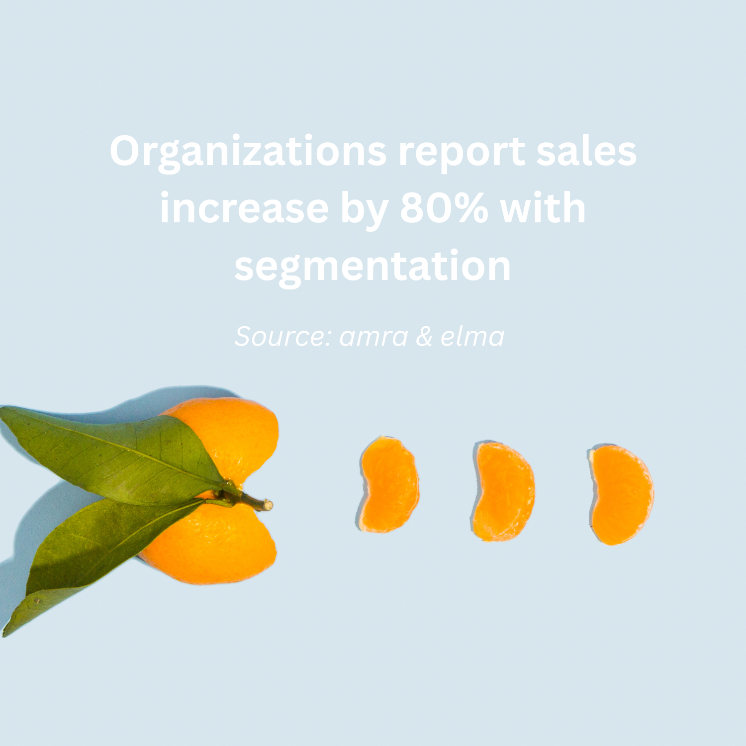 Organizations report sales increase by 80% with segmentation