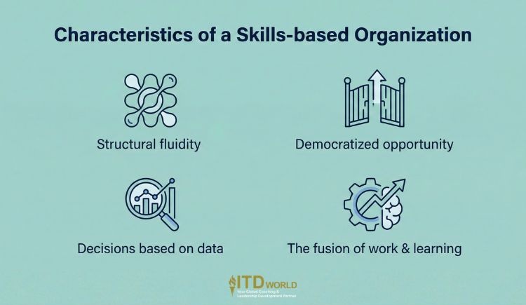 characteristics of a skills-based organization