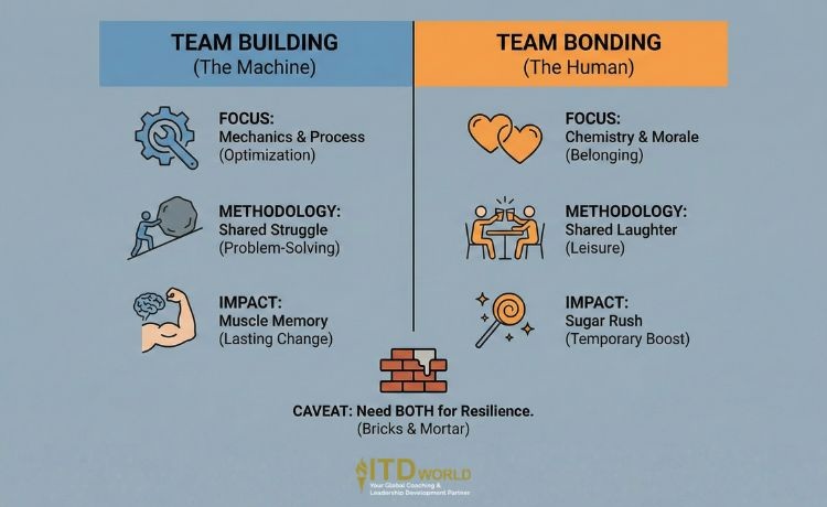 team building vs team bonding differences