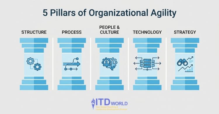 5 pillars of organizational agility