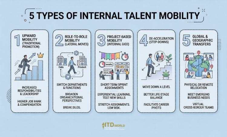 5 types of internal talent mobility