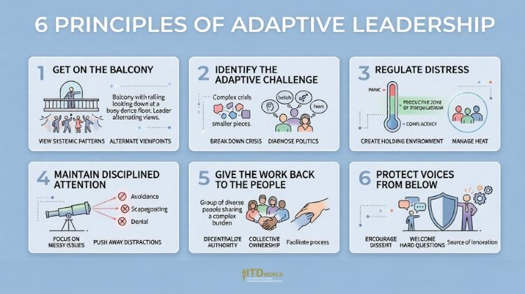 6 principles of adaptive leadership