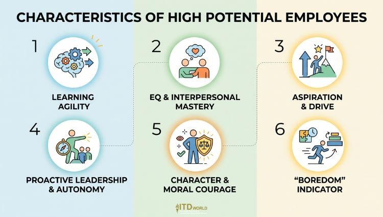 characteristics of high potential employees