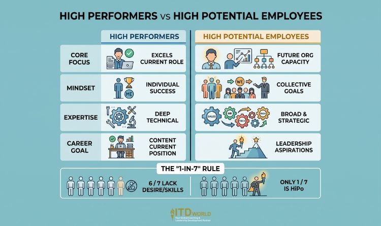 high performance vs high potential employees