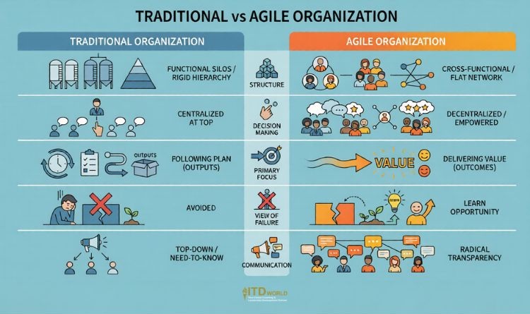 traditional organization vs agile organization