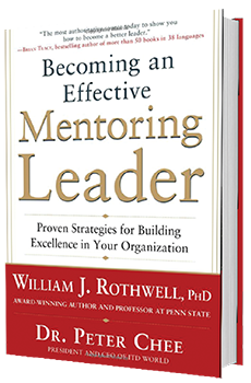 becoming an effective mentoring leader book