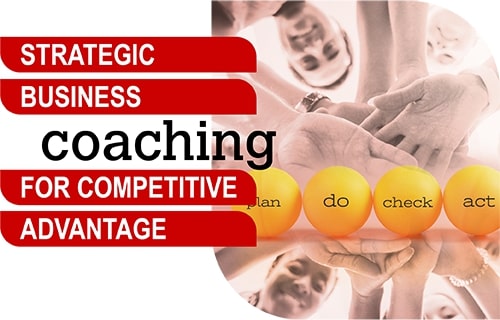 Strategic business coaching